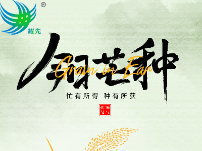 芒種遇世界環境日 | 耕耘希望，守護蔚藍：耀先環境與您共赴綠色之約